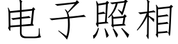 電子照相 (仿宋矢量字庫)