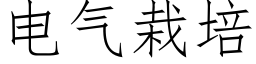 電氣栽培 (仿宋矢量字庫)