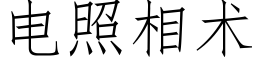 电照相术 (仿宋矢量字库)