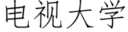 電視大學 (仿宋矢量字庫)