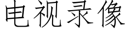 電視錄像 (仿宋矢量字庫)