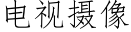 电视摄像 (仿宋矢量字库)