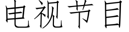 电视节目 (仿宋矢量字库)