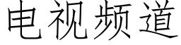 电视频道 (仿宋矢量字库)