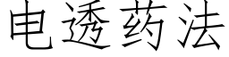 电透药法 (仿宋矢量字库)