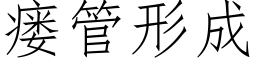 瘘管形成 (仿宋矢量字库)