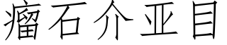 瘤石介亚目 (仿宋矢量字库)