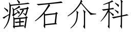 瘤石介科 (仿宋矢量字库)