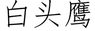 白头鹰 (仿宋矢量字库)