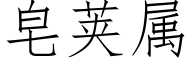 皂荚属 (仿宋矢量字库)