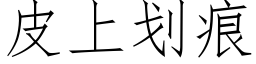 皮上劃痕 (仿宋矢量字庫)