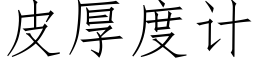 皮厚度计 (仿宋矢量字库)