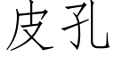 皮孔 (仿宋矢量字库)