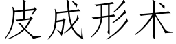皮成形术 (仿宋矢量字库)