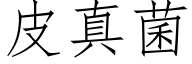 皮真菌 (仿宋矢量字库)