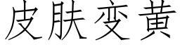 皮肤变黄 (仿宋矢量字库)