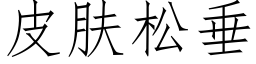 皮肤松垂 (仿宋矢量字库)