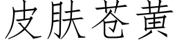 皮肤苍黄 (仿宋矢量字库)