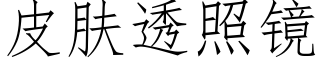 皮肤透照镜 (仿宋矢量字库)