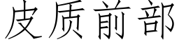 皮質前部 (仿宋矢量字庫)