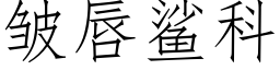 皺唇鲨科 (仿宋矢量字庫)