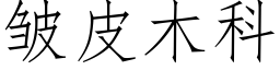 皱皮木科 (仿宋矢量字库)