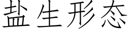 盐生形态 (仿宋矢量字库)