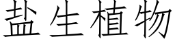 盐生植物 (仿宋矢量字库)