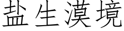 盐生漠境 (仿宋矢量字库)