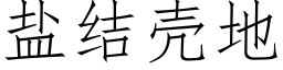 鹽結殼地 (仿宋矢量字庫)