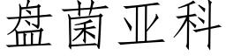 盘菌亚科 (仿宋矢量字库)