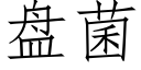 盘菌 (仿宋矢量字库)