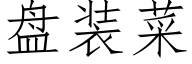 盘装菜 (仿宋矢量字库)