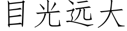 目光远大 (仿宋矢量字库)