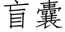 盲囊 (仿宋矢量字库)