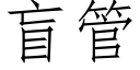 盲管 (仿宋矢量字庫)