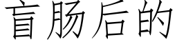 盲腸後的 (仿宋矢量字庫)