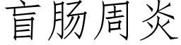 盲肠周炎 (仿宋矢量字库)