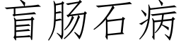 盲肠石病 (仿宋矢量字库)