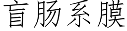 盲肠系膜 (仿宋矢量字库)