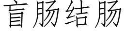 盲腸結腸 (仿宋矢量字庫)