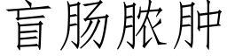 盲腸膿腫 (仿宋矢量字庫)