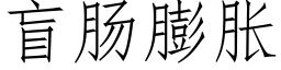 盲肠膨胀 (仿宋矢量字库)