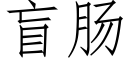 盲肠 (仿宋矢量字库)