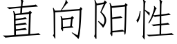 直向陽性 (仿宋矢量字庫)