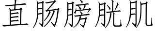 直肠膀胱肌 (仿宋矢量字库)