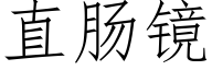 直肠镜 (仿宋矢量字库)