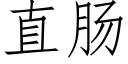 直肠 (仿宋矢量字库)