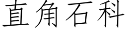 直角石科 (仿宋矢量字庫)