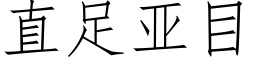 直足亚目 (仿宋矢量字库)